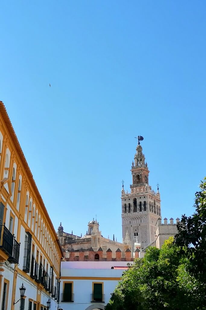 a view of tower of seville cathedral  peaking behind colorful buildings