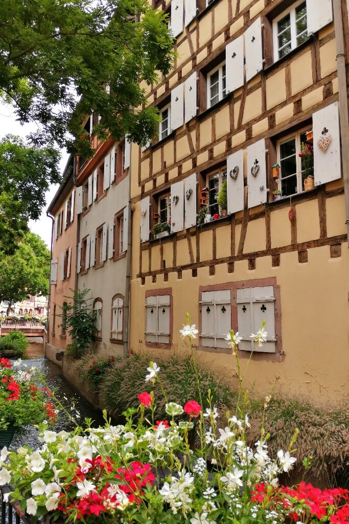 colmar city centre canal and flowers
