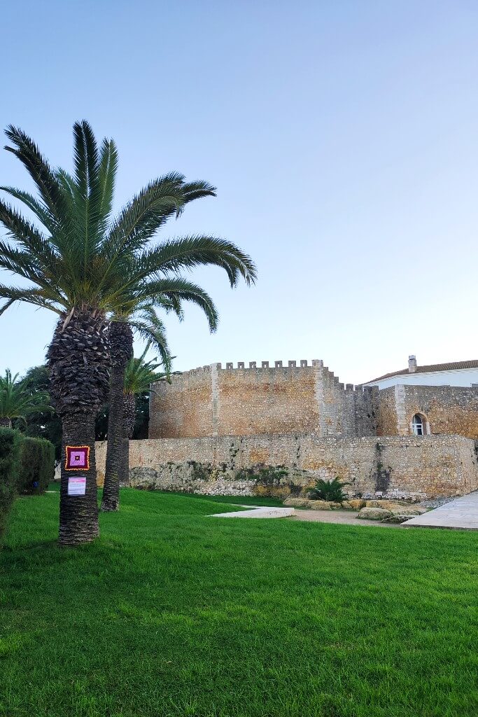 photo of lagos castle  and a palm tree in front of it