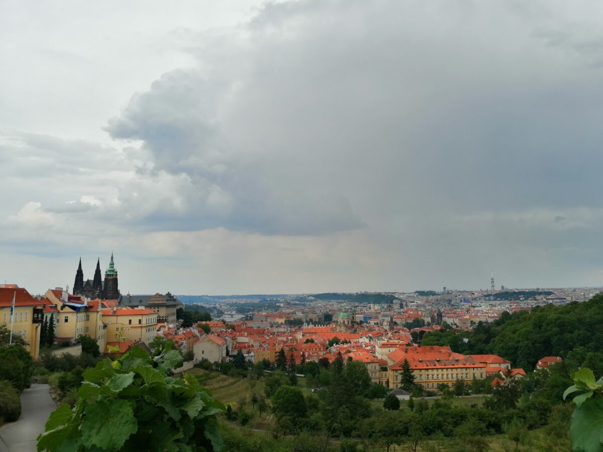 prague vineyard viewpoint
